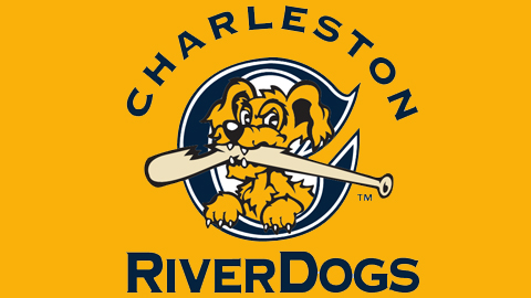 charleston_riverdogs_logo_480x270_rmtfrm